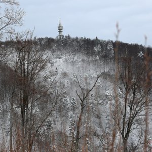 Snježna idila na Sljemenu