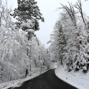 Snježna idila na Sljemenu