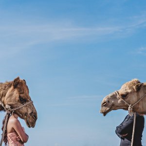 Zabavne fotografije raznih vjenčanja