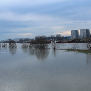 Sava se u Zagrebu izlila iz korita