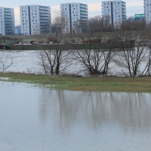 Sava se u Zagrebu izlila iz korita