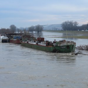 Sava se u Zagrebu izlila iz korita