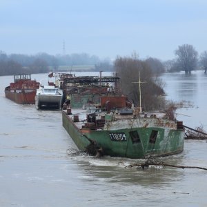 Sava se u Zagrebu izlila iz korita