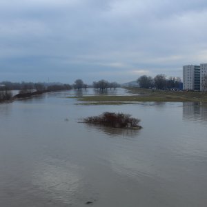 Sava se u Zagrebu izlila iz korita