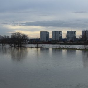 Sava se u Zagrebu izlila iz korita