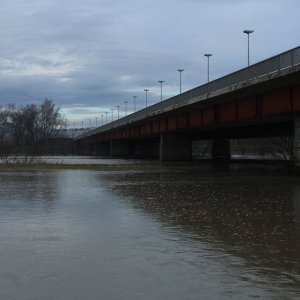 Sava se u Zagrebu izlila iz korita