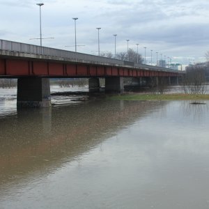 Sava se u Zagrebu izlila iz korita