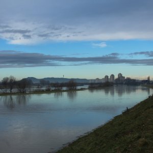 Sava se u Zagrebu izlila iz korita