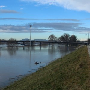 Sava se u Zagrebu izlila iz korita