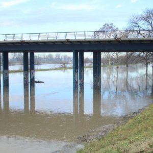 Sava se u Zagrebu izlila iz korita