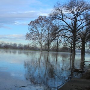 Sava se u Zagrebu izlila iz korita