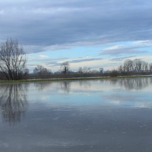 Sava se u Zagrebu izlila iz korita