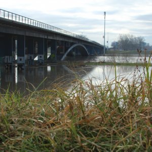 Sava se u Zagrebu izlila iz korita