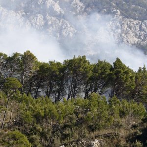 Požar kod svetišta Vepric u Makarskoj