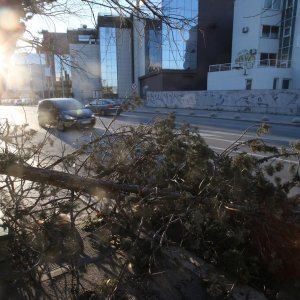 Split: Nakon olujnih udara bure najviše stradala stabla i drveni električni stupovi