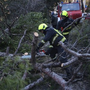 Split: Nakon olujnih udara bure najviše stradala stabla i drveni električni stupovi