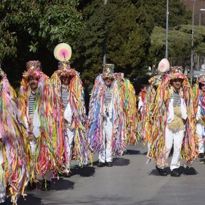 Održan 5. Pulski karneval