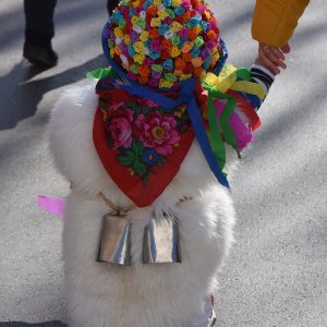 Održan 5. Pulski karneval