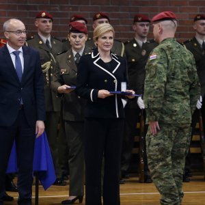 Damir Krstičević, Kolinda Grabar Kitarović