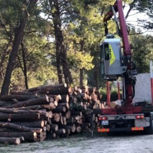 Split: Započeli radovi u Park šumi Marjan
