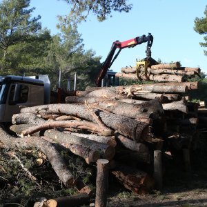 U Splitu započeli radovi u Park šumi Marjan