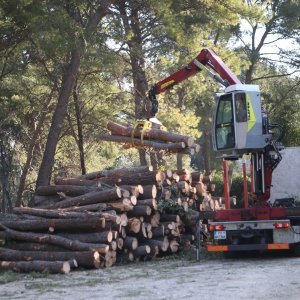 U Splitu započeli radovi u Park šumi Marjan