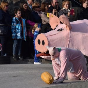 Buzet: Kreativni kostimi karnevalske povorke oduševili posjetitelje