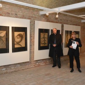 Otvorenje izložbe slika Vere Fischer pod naslovom 'Izložba bez šminke'