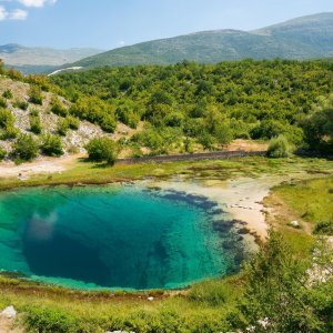 Virovi i rupe u zemlji