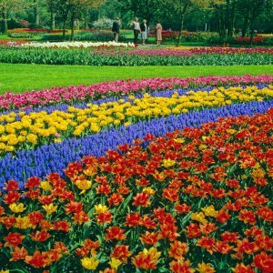 Keukenhof