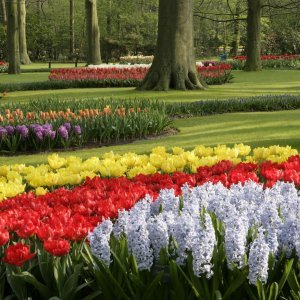 Keukenhof