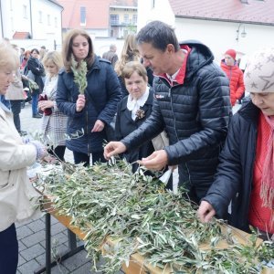 Sisak: Procesiju Cvjetnice i blagoslov maslinovih grančica predvodio biskup Vlado Košić