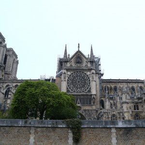 Jutro nakon katastrofalnog požara u katedrali Notre Dame