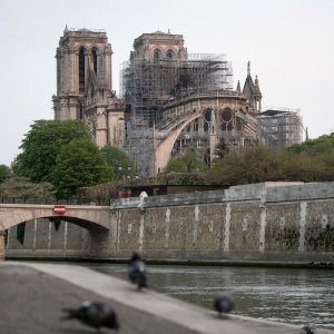 Jutro nakon katastrofalnog požara u katedrali Notre Dame