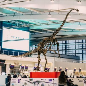 Dinosaur Skinny u zračnoj luci Heathrow