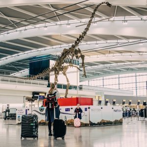 Dinosaur Skinny u zračnoj luci Heathrow