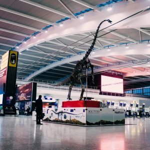 Dinosaur Skinny u zračnoj luci Heathrow