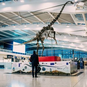 Dinosaur Skinny u zračnoj luci Heathrow