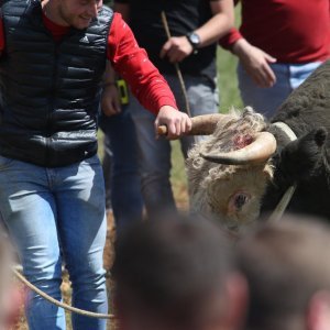 Dicmo: 15. bikijada braće Kokan