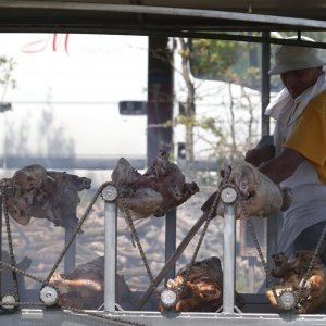 Dicmo: 15. bikijada braće Kokan