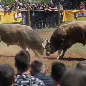 Dicmo: 15. bikijada braće Kokan