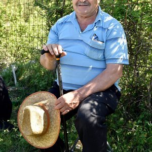 Bože Mikelić