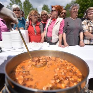 Skradinski buk: Tradicionalna podjela graha u Nacionalnom parku Krka