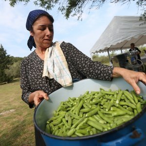 Vodice: Tradicionalni prvosvibanjski piknik u Rakitnici