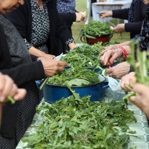 Vodice: Tradicionalni prvosvibanjski piknik u Rakitnici