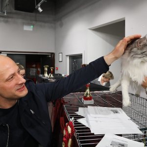 Osijek: Revijalna međunarodna izložba mačaka