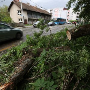 Vjetar srušio stoljetna stabla u dvorištu psihijatrijske bolnice Vrapče