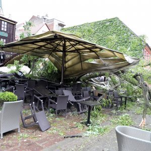 Stablo palo na terasu lokala u Tkaličićevoj ulici