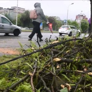 Snažan vjetar srušio stablo na tramvajski vod u Maksimirskoj ulici