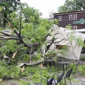 Zagreb: Olujni vjetar srušio drvo na terasu kafića u centru grada